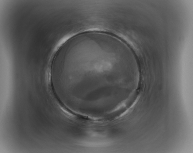X0000113251367200909101420