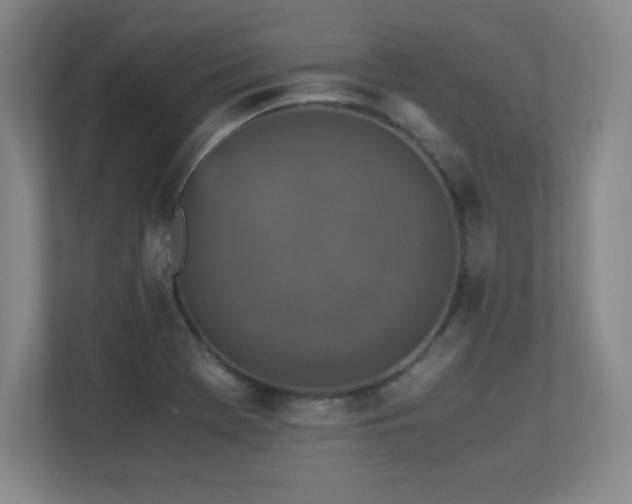 X0000113251369200909101420