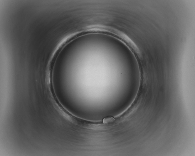 X0000113251376200909101420