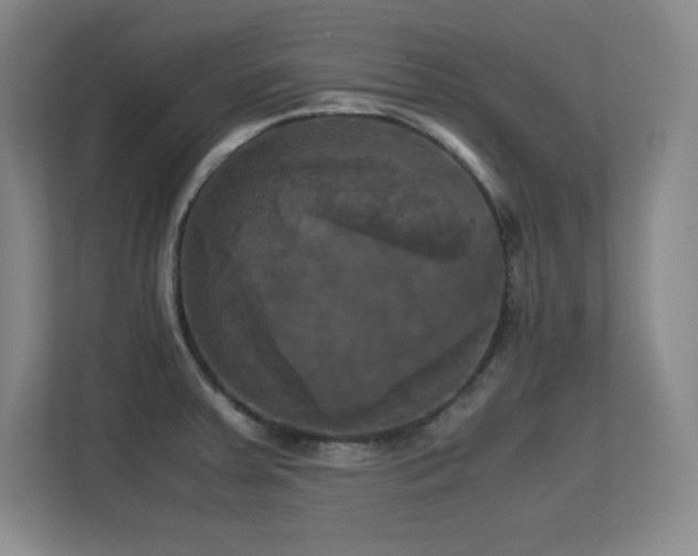 X0000113251379200909101420