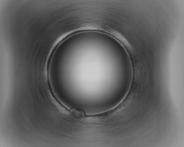 X0000113251380200909101420