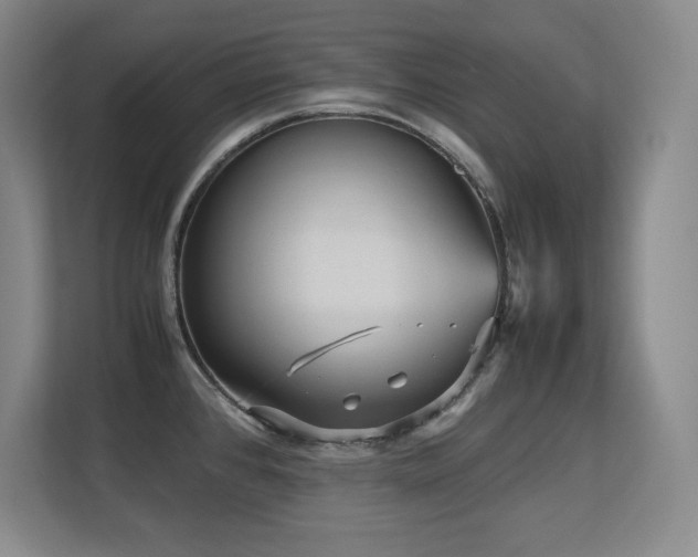 X0000113251384200909101419