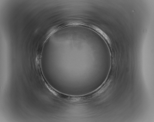 X0000113251385200909101419