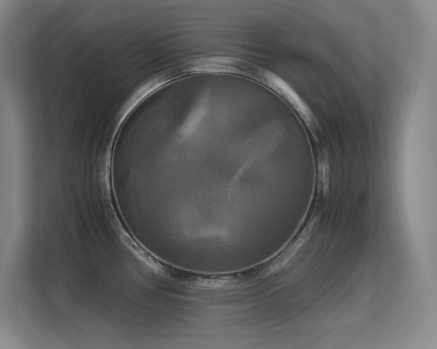 X0000113251386200909101419