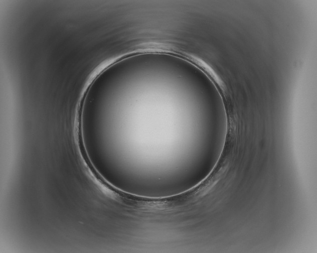 X0000113251387200909101419