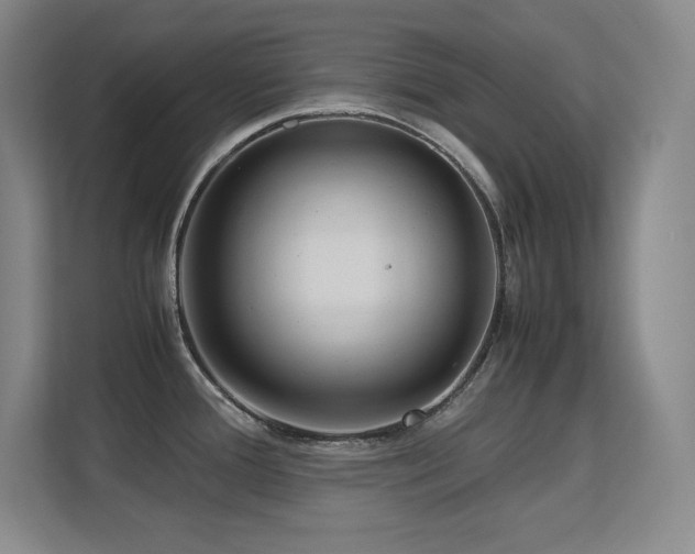 X0000113251388200909101419