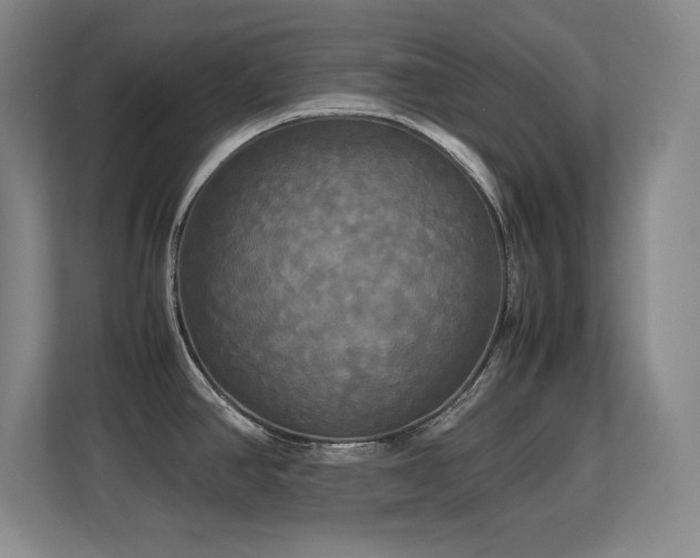 X0000113251390200909101419