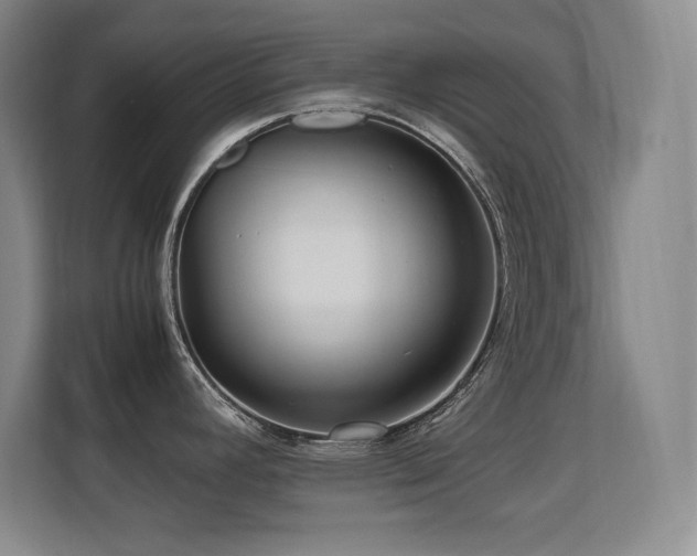 X0000113251392200909101419