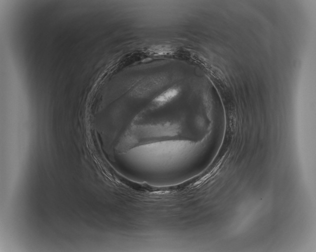 X0000113251393200909101419
