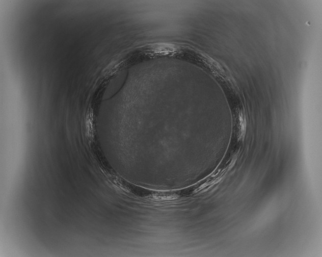 X0000113251394200909101419