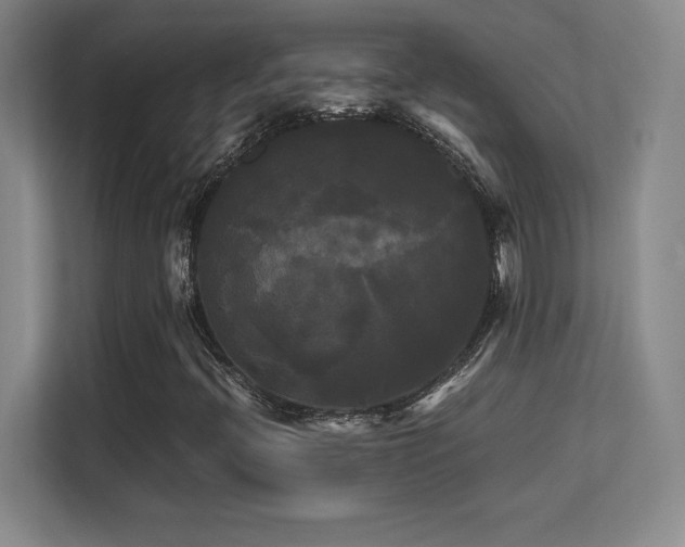 X0000113251396200909101419