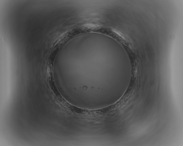 X0000113251397200909101419
