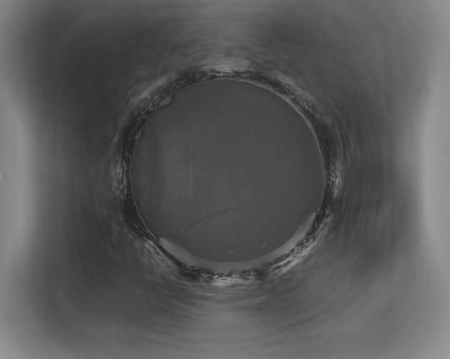 X0000113251398200909101419
