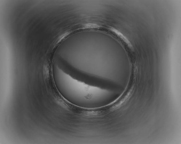 X0000113251401200909101419