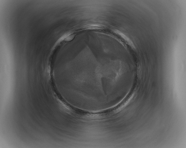 X0000113251402200909101419