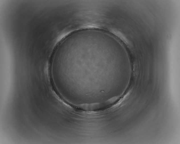 X0000113251404200909101419