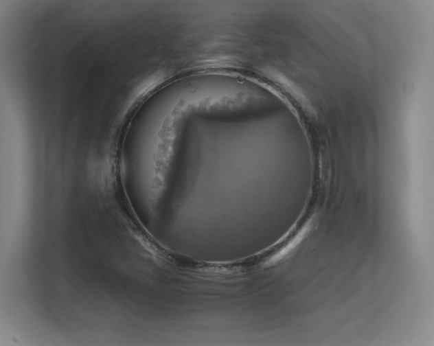 X0000113251405200909101419