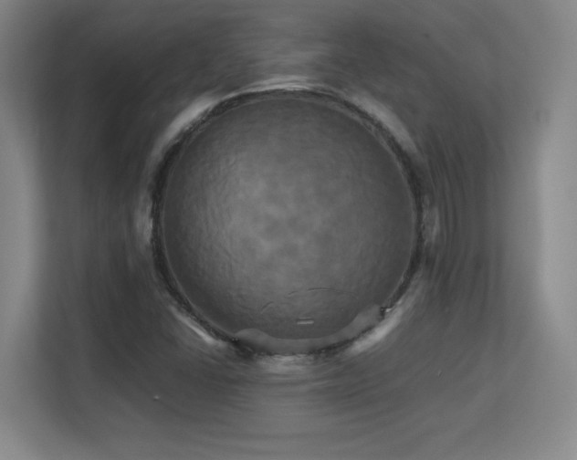 X0000113251406200909101419