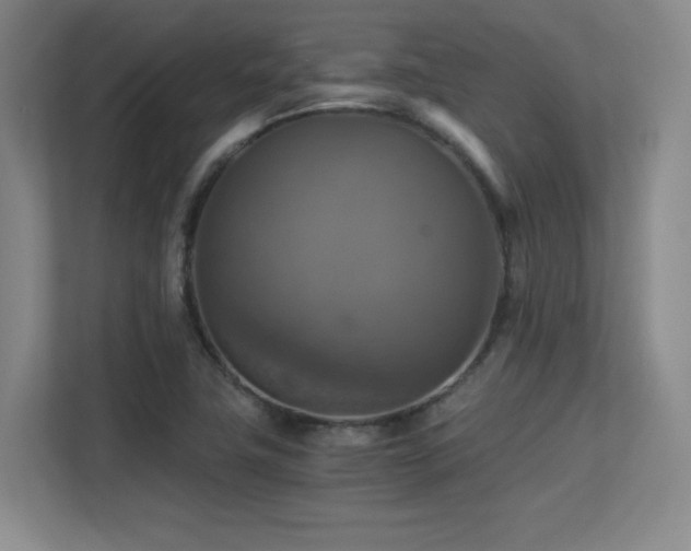 X0000113251411200909101419