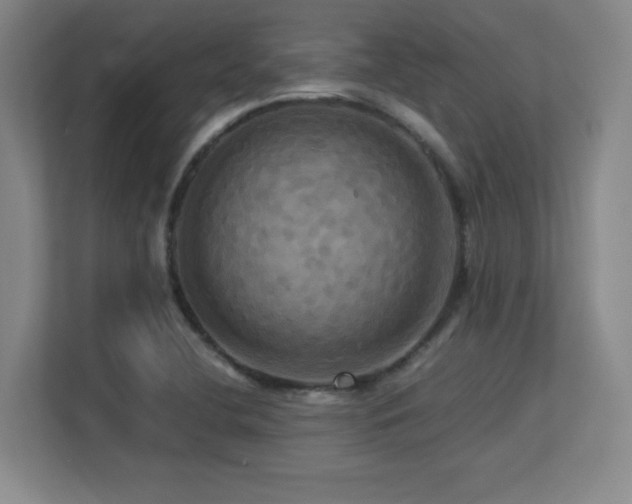 X0000113251412200909101419