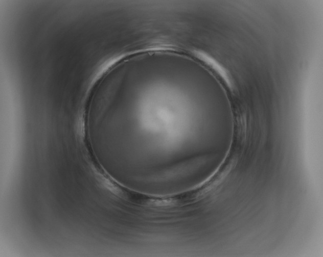 X0000113251415200909101419