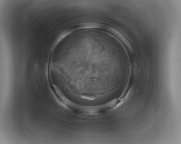 X0000113251417200909101419