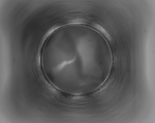 X0000113251419200909101419