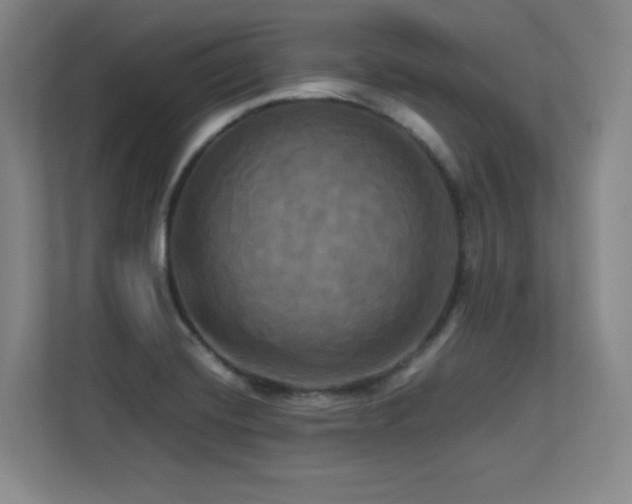 X0000113251420200909101419
