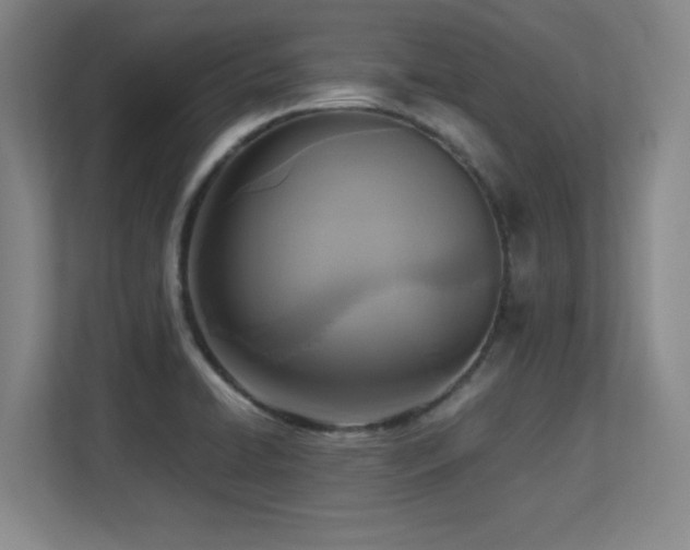 X0000113251422200909101419