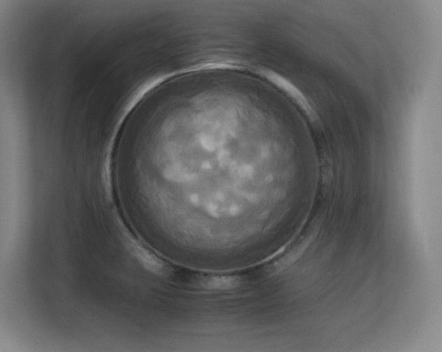 X0000113251423200909101419