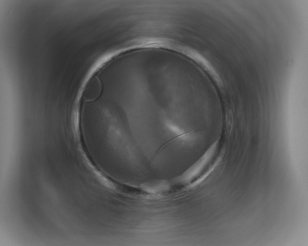 X0000113251424200909101419
