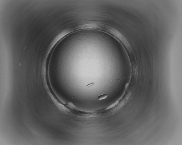 X0000113251426200909101419