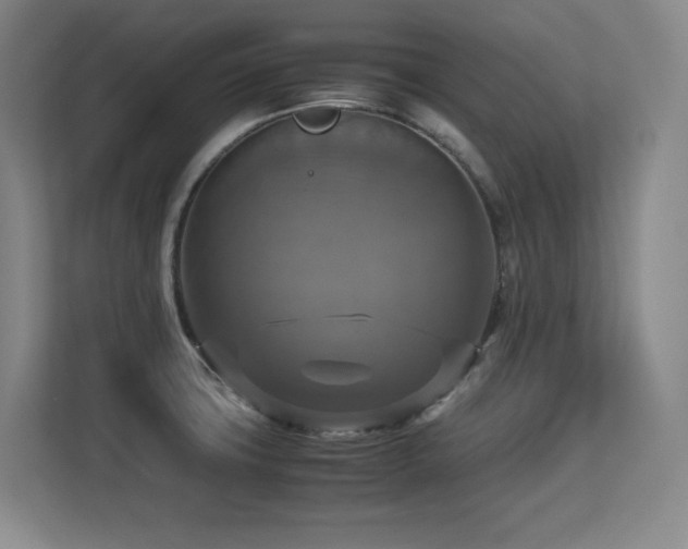 X0000113251427200909101419