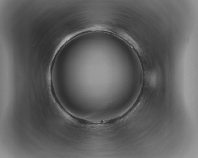 X0000113251428200909101419
