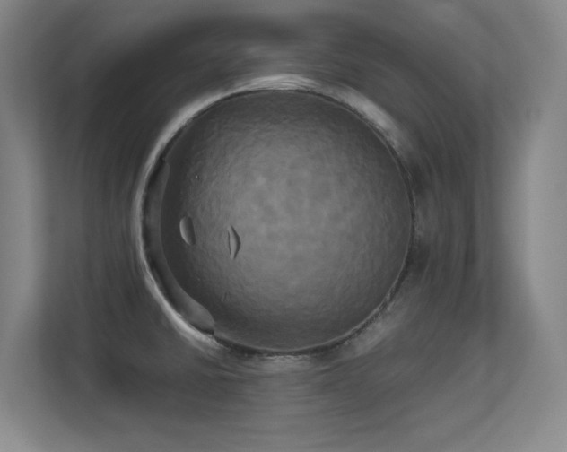 X0000113251430200909101419