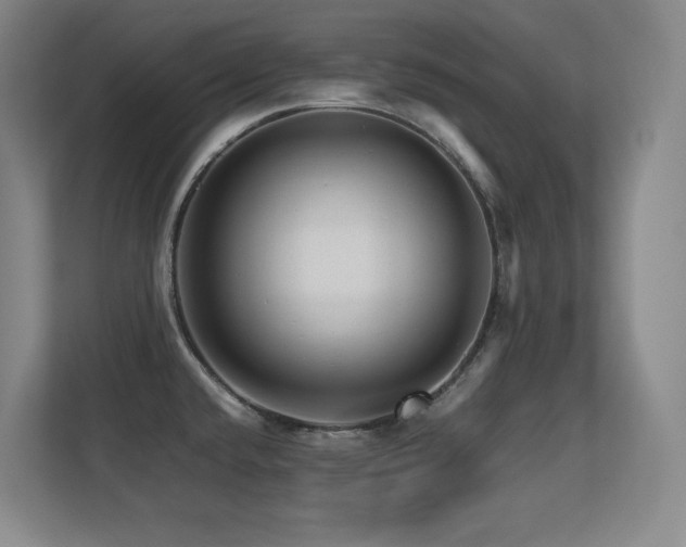 X0000113251432200909101419