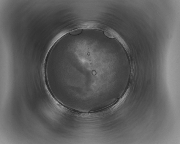 X0000113251434200909101419