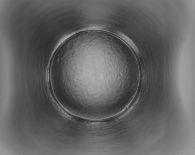 X0000113251436200909101419