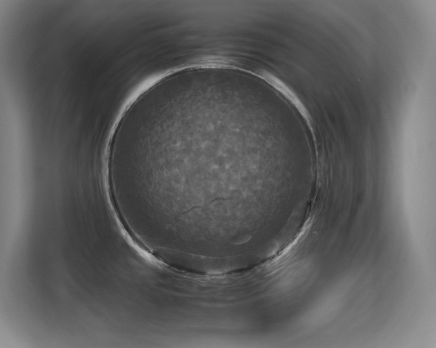 X0000113251437200909101419