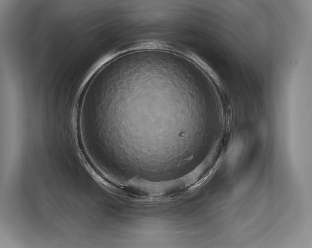 X0000113251438200909101419
