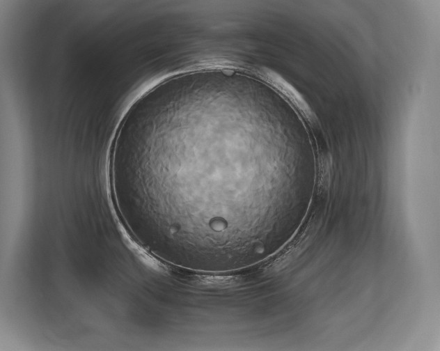 X0000113251439200909101419