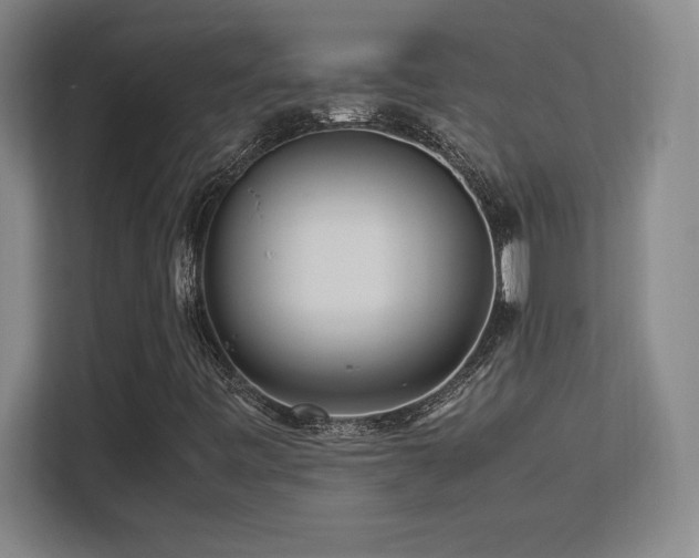 X0000113251443200909101419
