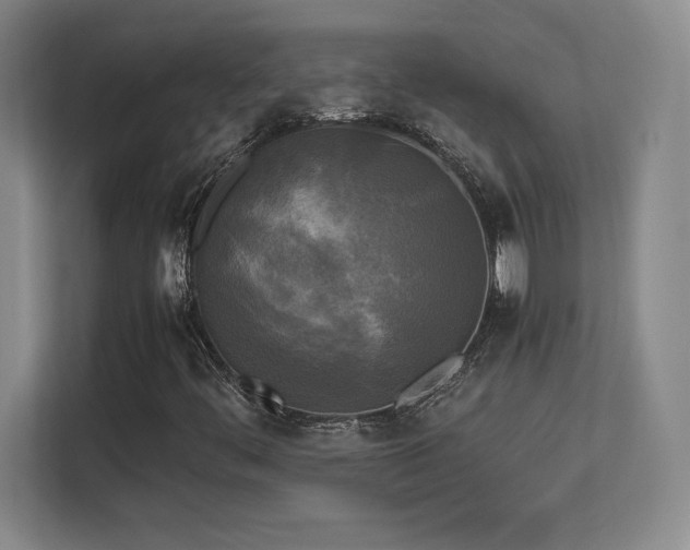 X0000113251444200909101419