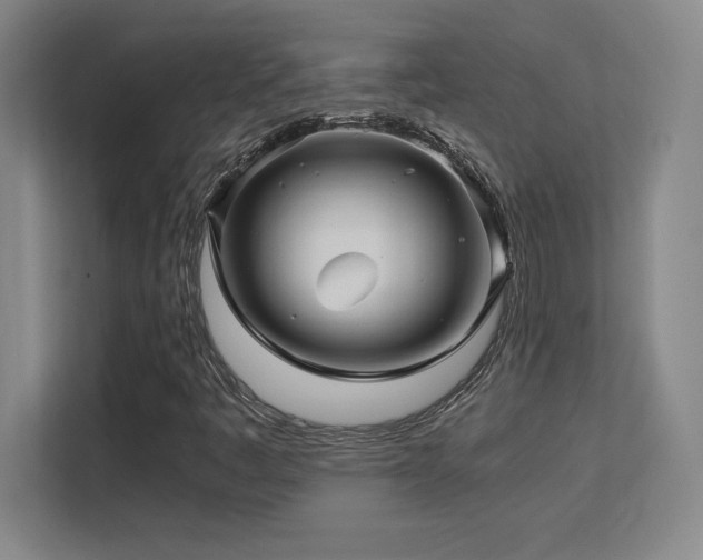 X0000113251445200909101419