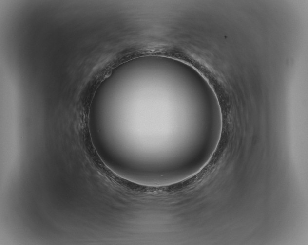 X0000113251447200909101419