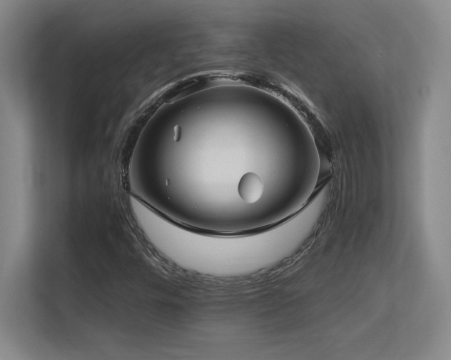 X0000113251448200909101419