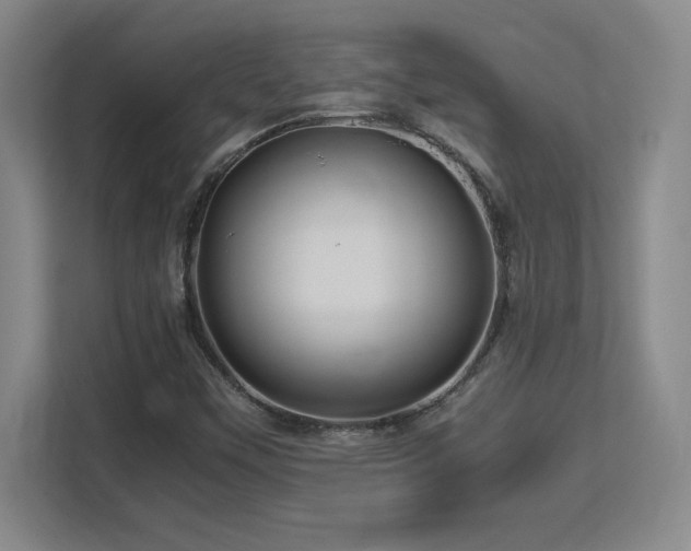 X0000113251451200909101419