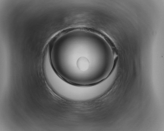 X0000113251452200909101419