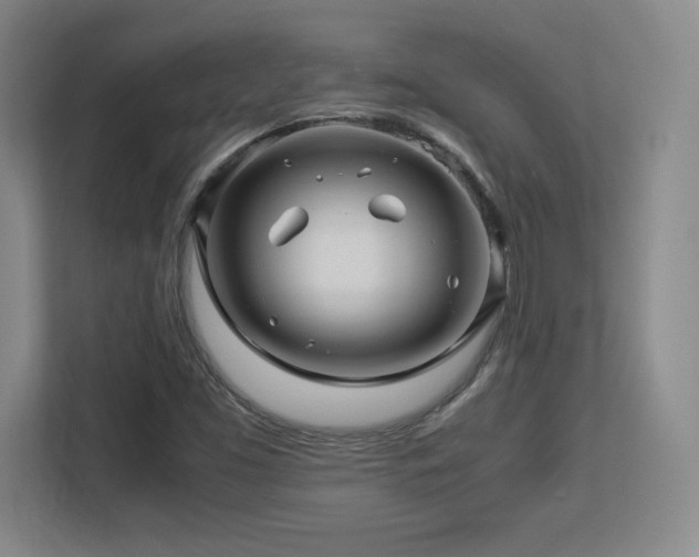 X0000113251453200909101419