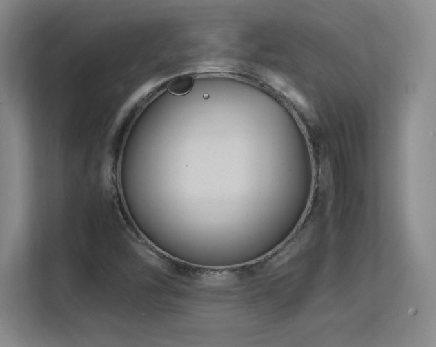 X0000113251454200909101419